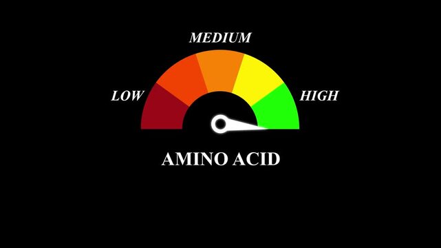 Gradient scale Amino acids level measuring device icon. Sign tachometer, speedometer, indicators. Infographic gauge element.Animated Amino Acid Level Gauge.4k animation