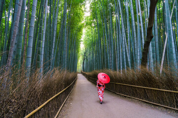 Bamboo forest in Arashiyama district at Kyoto.Japan