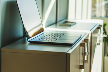 Fototapeta premium Laptop Office Cabinet Archive Sunlight Interior