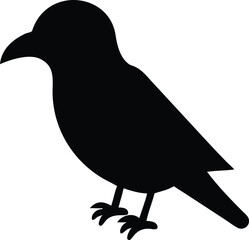 crow bird with white background