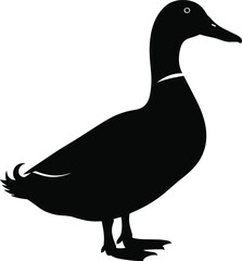 Black Silhouette of Standing Duck in Profile with Visible Beak and Tail, Minimal Bird Vector Icon for Nature, Wildlife, and Education