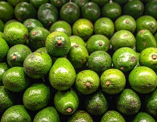 Close-up view of many avocados