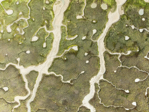 Aerial view of winding waterways carving through the vibrant green and beige marshlands, creating a mosaic of natural patterns, Bay of C&Atilde;&iexcl;diz, C&Atilde;&iexcl;diz province, Andalusia, Spain.