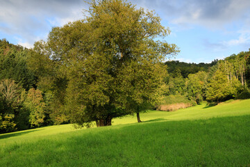 a cloudy evening over the Odenwald