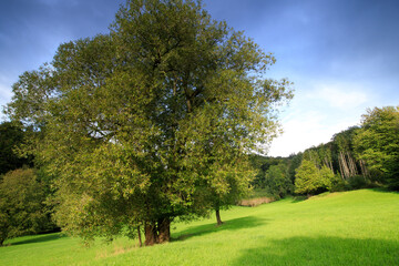 a cloudy evening over the Odenwald
