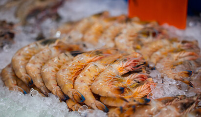 Fresh seafood display at bustling thailand fish market