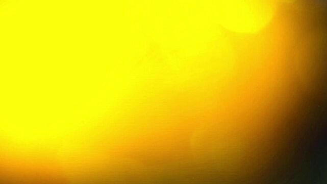 Film Light Transition. Features a quick, bright flash with subtle film grain. Ideal for high-speed montages or travel vlogs.