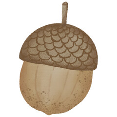 Hand Drawn Acorn Illustration Autumn Forest Element Clipart