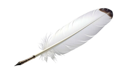 Isolated quill pen with white and brown feather against black