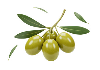 Green olives on a branch PNG isolated, fresh olive fruits with leaves for healthy eating and Mediterranean cuisine