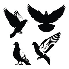 Set of four silhouette pigeon icons isolated on a for design projects silhouette