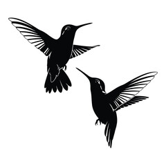 Two black hummingbirds in flight silhouette artistic silhouette of tiny birds mid-air silhouette
