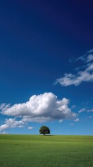 Lonely tree sunny meadow