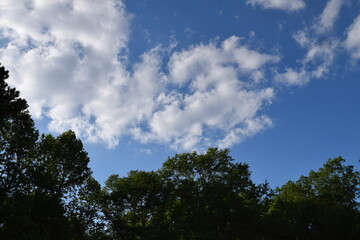 Clouds