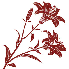 red lily on white background 