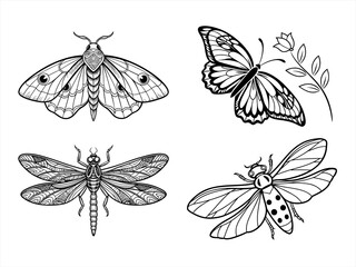 coloring page line art the butterfly black vector bundle