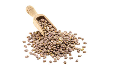 carioca bean seeds, brazilian beans, seeds on white background, isolated copyspace