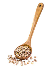 carioca bean seeds, brazilian beans, seeds on white background, isolated copyspace