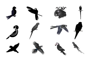 Collection of silhouettes of various parrots and birds in different poses