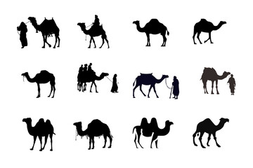 Collection of camel silhouettes with riders in desert setting