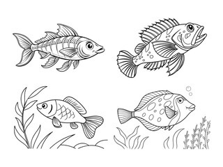 coloring page line art the fish black vector bundle