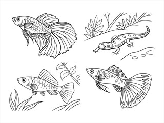 coloring page line art the fish black vector bundle