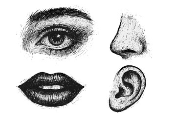 Retro photorealistic face parts collection with female eye, mouth, nose, and ear in grunge punk messy texture, trendy Y2K aesthetic vector illustration for creative design projects and fashion art