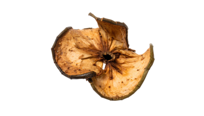 Decayed apple core, isolated on black. Macro view of withered fruit