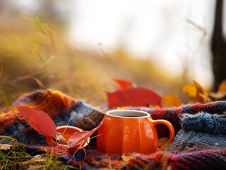 Autumn seasonal composition. An orange cup of coffee or tea in an autumn park. Warm up with a hot drink on a cold autumn day.
