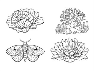 coloring page line art the flower black vector bundle