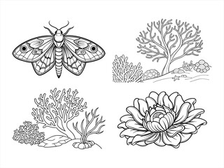 coloring page line art the flower black vector bundle