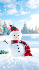 Schneemann in sonniger Winterlandschaft 