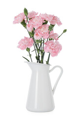 Beautiful carnation flowers in jug on white background