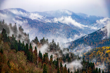mountain landscape in winter
