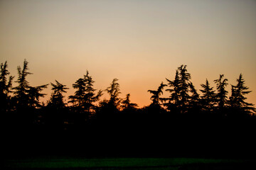sunset in the mountains, forest