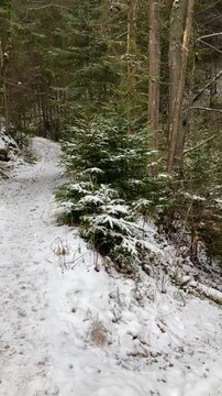 A frosty winter hike to Tomasovsky view, a stunning rock formation offering breathtaking vistas in Slovensky Raj National Park, Slovakia