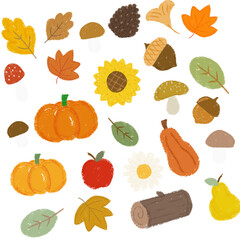 Autumn fall set of pumpkins and leaves