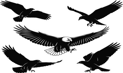 Bald eagle in flight surrounded by bird silhouettes, circular formation, dramatic wildlife concept, black and white avian design, predator symbolism