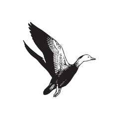 Flying Goose Silhouette Vintage Bird Vector Illustration