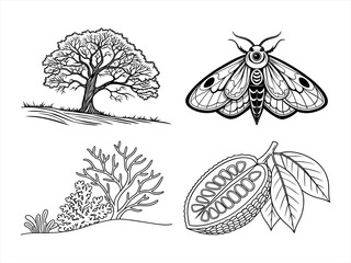coloring page line art the moth black vector bundle