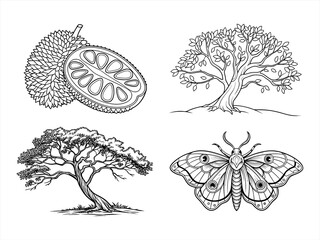 coloring page line art the moth black vector bundle