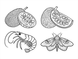 coloring page line art the moth black vector bundle