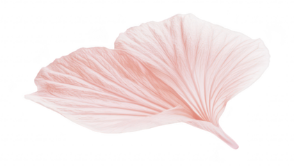 Delicate pink leaves gracefully overlapping each other against a pristine white background. their intricate veining and soft texture. ideal for nature-themed designs and calming visuals