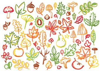 vector line art autumn leaves