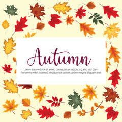 Autumn leaves set. Fall maple, oak, chestnut leaves, berries, acorn, forest foliage. Botanical elements of natural floral design. Flat vector illustration isolated on white background