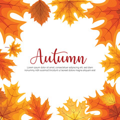 Autumn leaves set. Fall maple, oak, chestnut leaves, berries, acorn, forest foliage. Botanical elements of natural floral design. Flat vector illustration isolated on white background