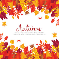 Autumn leaves set. Fall maple, oak, chestnut leaves, berries, acorn, forest foliage. Botanical elements of natural floral design. Flat vector illustration isolated on white background