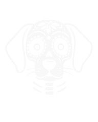 Cara de perro catrina.