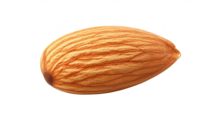 A close-up view of a single almond nut its textured shell and natural color. set against a clean white background. ideal for food photography and healthy eating concepts