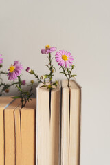 Books decorated with flowers, book aesthetic, warm palette, background with copy space